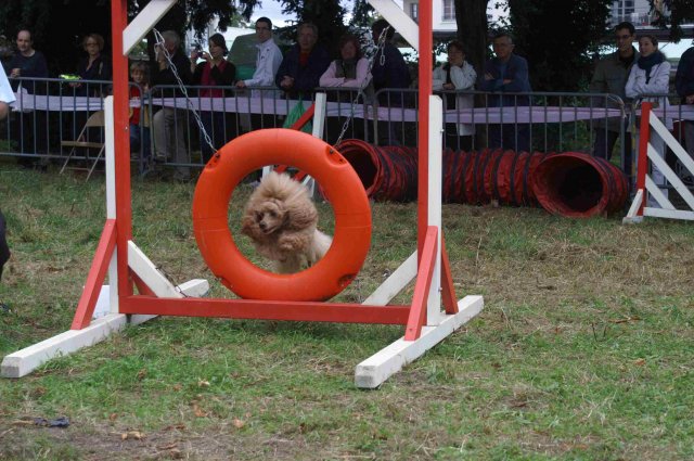 foire-haricots 2011-09-17et18